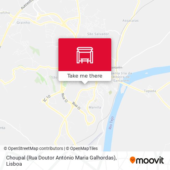 Choupal (Rua Doutor António Maria Galhordas) mapa