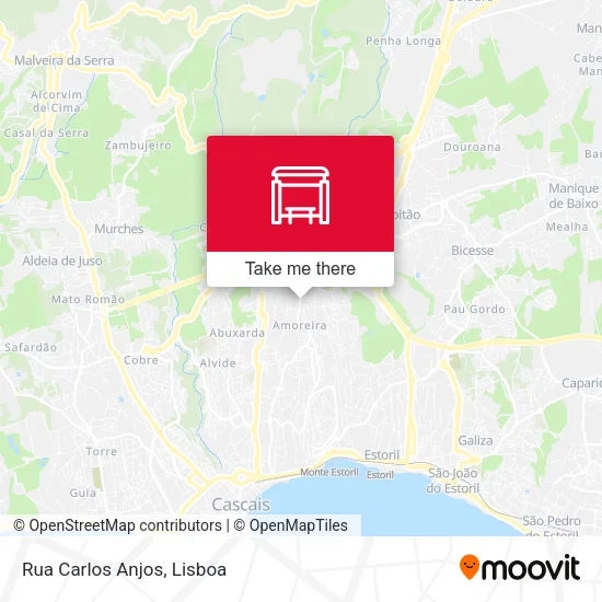 Rua Carlos Anjos map