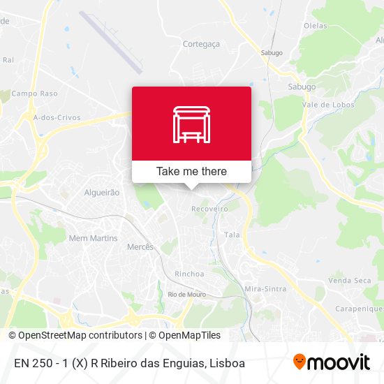 EN 250 - 1 (X) R Ribeiro das Enguias map