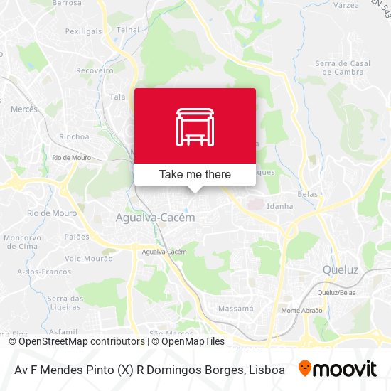 Av F Mendes Pinto (X) R Domingos Borges map