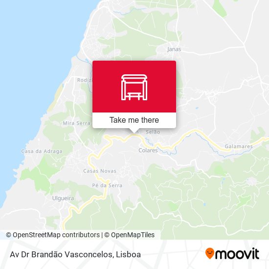 Av Dr Brandão Vasconcelos map