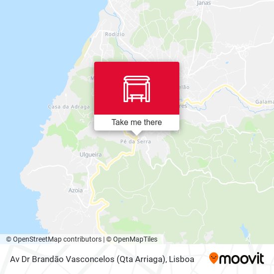 Av Dr Brandão Vasconcelos (Qta Arriaga) mapa