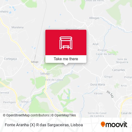 Fonte Aranha (X) R das Sargaceiras mapa