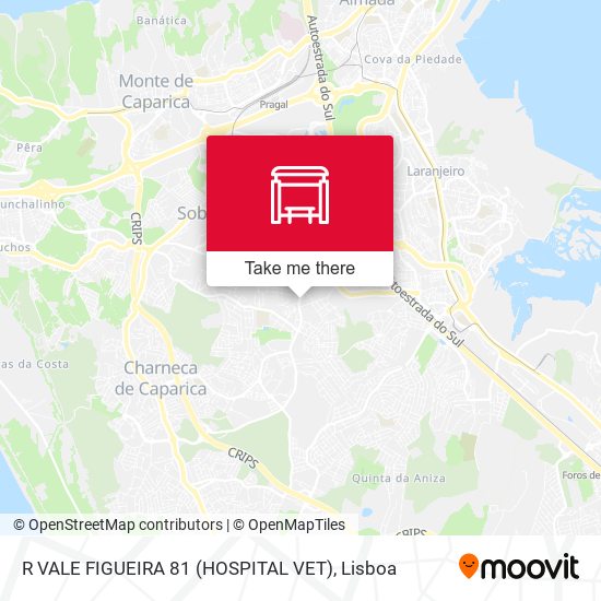 R VALE FIGUEIRA 81 (HOSPITAL VET) mapa
