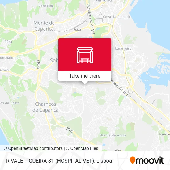 R VALE FIGUEIRA 81 (HOSPITAL VET) map