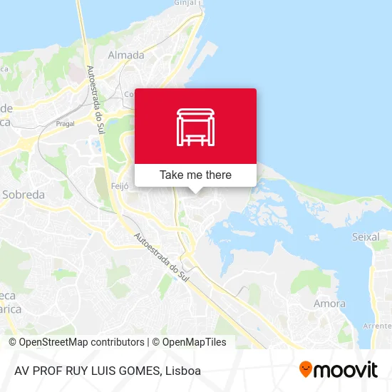 AV PROF RUY LUIS GOMES map