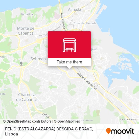 FEIJÓ (ESTR ALGAZARRA) DESCIDA G BRAVO map