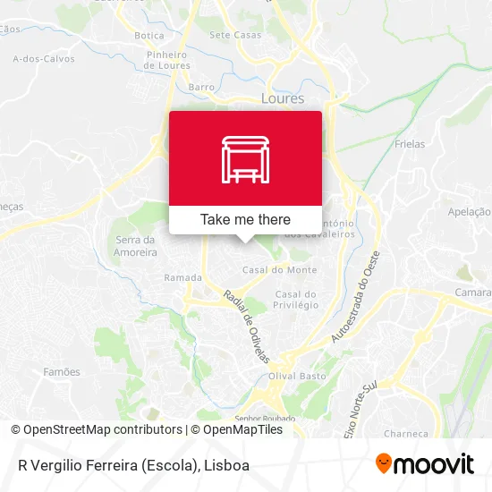 R Vergilio Ferreira (Escola) map