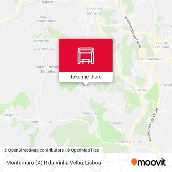 Montemuro (X) R da Vinha Velha mapa