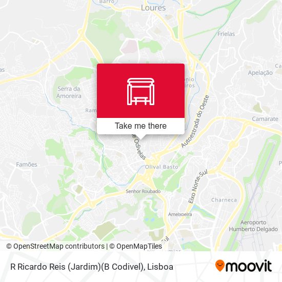 R Ricardo Reis (Jardim)(B Codivel) map
