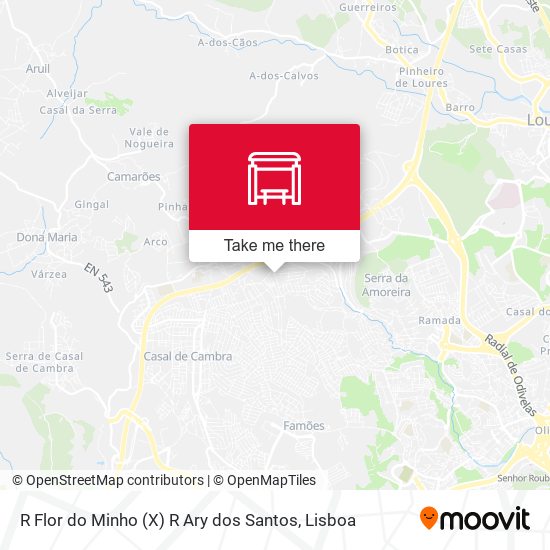 R Flor do Minho (X) R Ary dos Santos map
