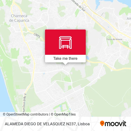 ALAMEDA DIEGO DE VELASQUEZ N237 map