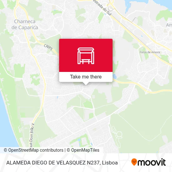 ALAMEDA DIEGO DE VELASQUEZ N237 map