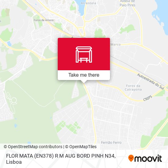 FLOR MATA (EN378) R M AUG BORD PINH N34 map