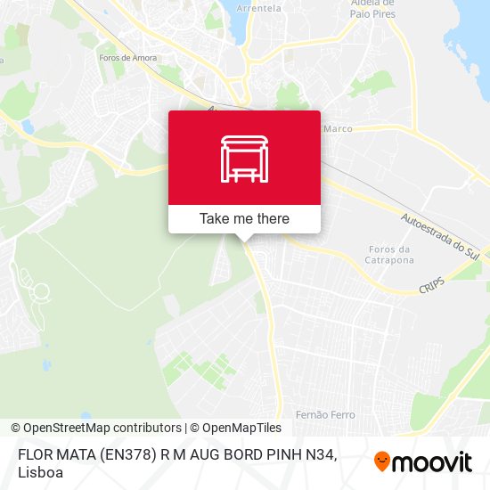 FLOR MATA (EN378) R M AUG BORD PINH N34 map