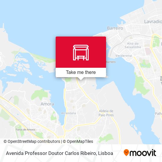 Avenida Professor Doutor Carlos Ribeiro mapa