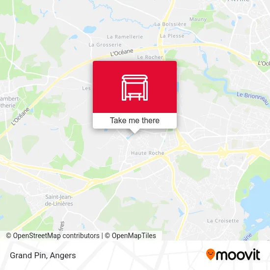 Grand Pin map