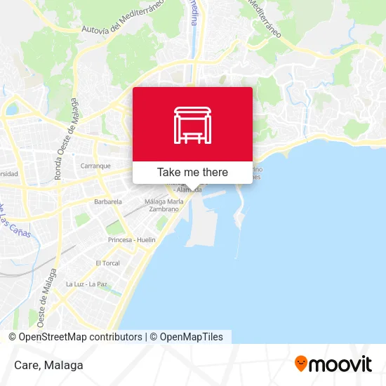 Care map