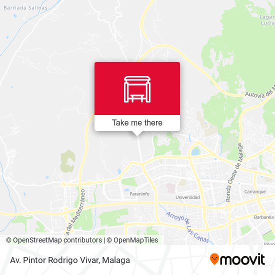 Av. Pintor Rodrigo Vivar map