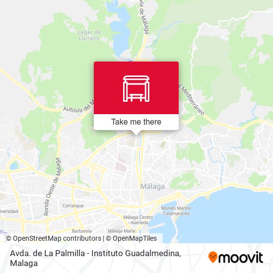 Avda. de La Palmilla - Instituto Guadalmedina map