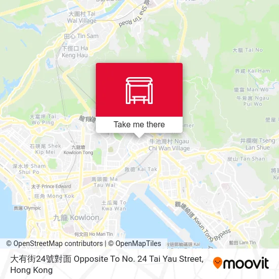 大有街24號對面 Opposite To No. 24 Tai Yau Street map