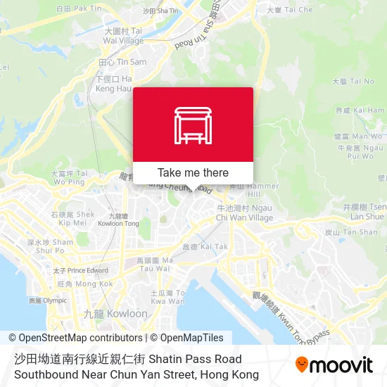 沙田坳道南行線近親仁街 Shatin Pass Road Southbound Near Chun Yan Street map