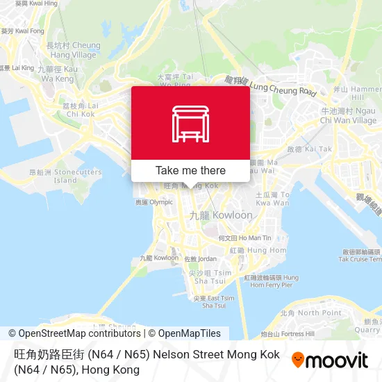 旺角奶路臣街 (N64 / N65) Nelson Street Mong Kok (N64 / N65)地圖