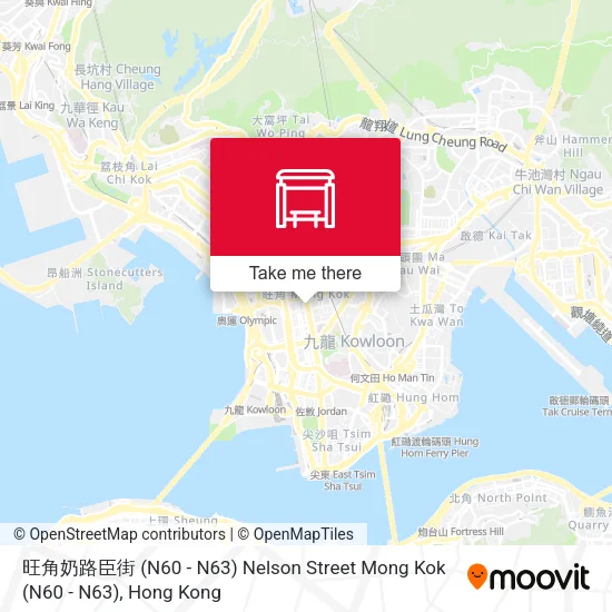 旺角奶路臣街 (N60 - N63) Nelson Street Mong Kok (N60 - N63)地圖