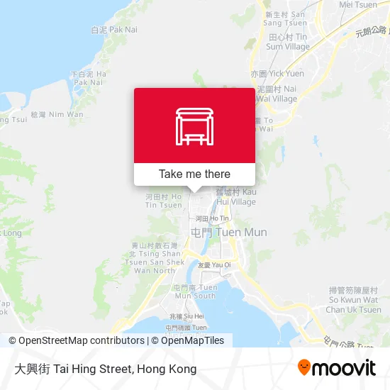 大興街 Tai Hing Street地圖
