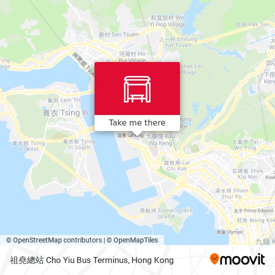 祖堯總站 Cho Yiu Bus Terminus map