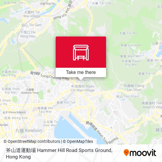 斧山道運動場 Hammer Hill Road Sports Ground map