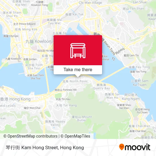 琴行街 Kam Hong Street map