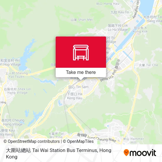 大圍站總站 Tai Wai Station Bus Terminus地圖