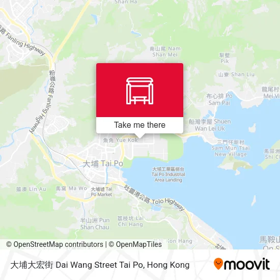 大埔大宏街 Dai Wang Street Tai Po地圖