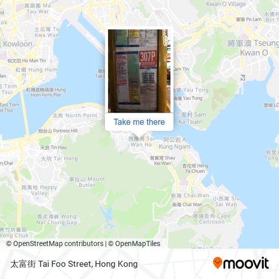 太富街 Tai Foo Street map