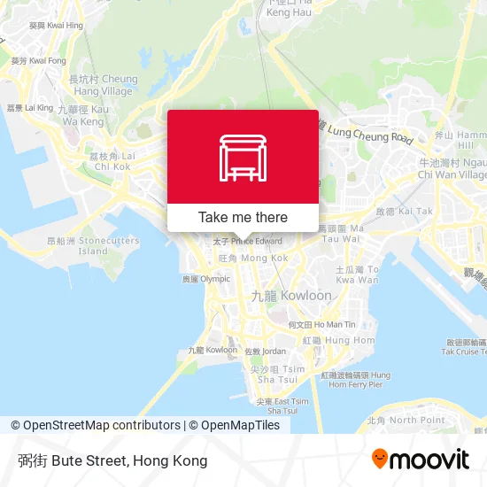 弼街 Bute Street map