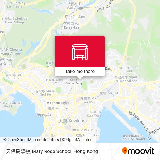 天保民學校 Mary Rose School map