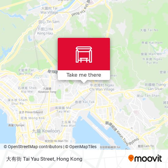 大有街 Tai Yau Street map