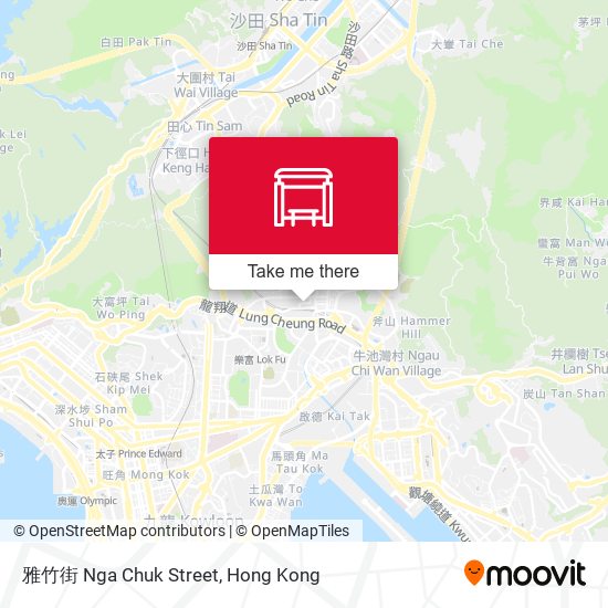 雅竹街 Nga Chuk Street map