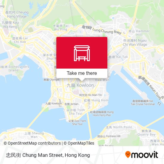 忠民街 Chung Man Street map