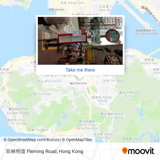 菲林明道 Fleming Road map