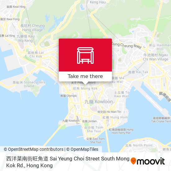 西洋菜南街旺角道 Sai Yeung Choi Street South Mong Kok Rd. map