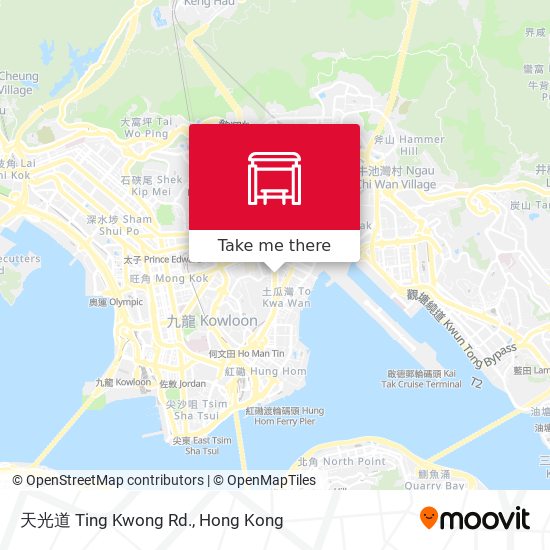 天光道 Ting Kwong Rd. map