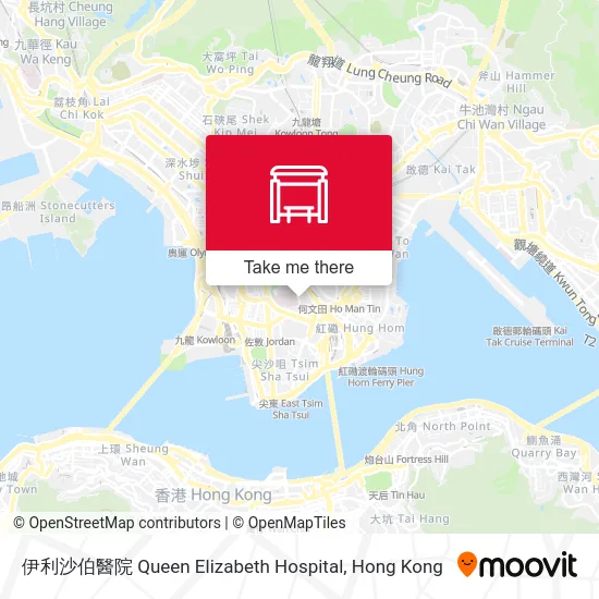 伊利沙伯醫院 Queen Elizabeth Hospital map