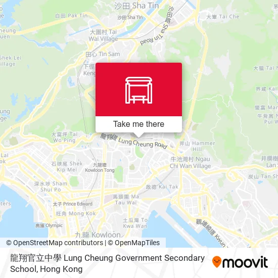 龍翔官立中學 Lung Cheung Government Secondary School地圖