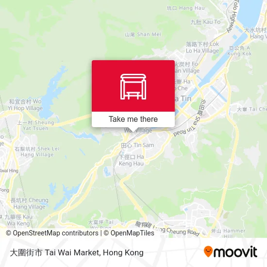 大圍街市 Tai Wai Market map
