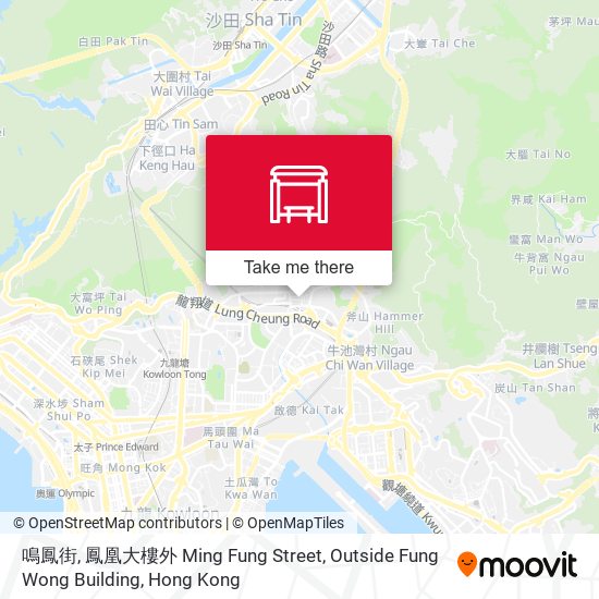 鳴鳳街, 鳳凰大樓外 Ming Fung Street, Outside Fung Wong Building map