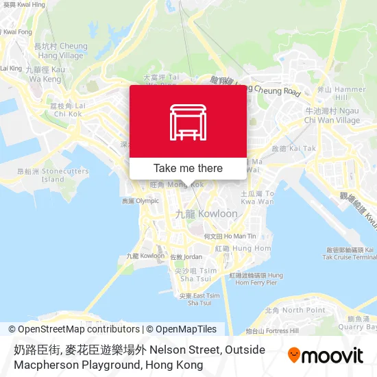 奶路臣街, 麥花臣遊樂場外 Nelson Street, Outside Macpherson Playground地圖