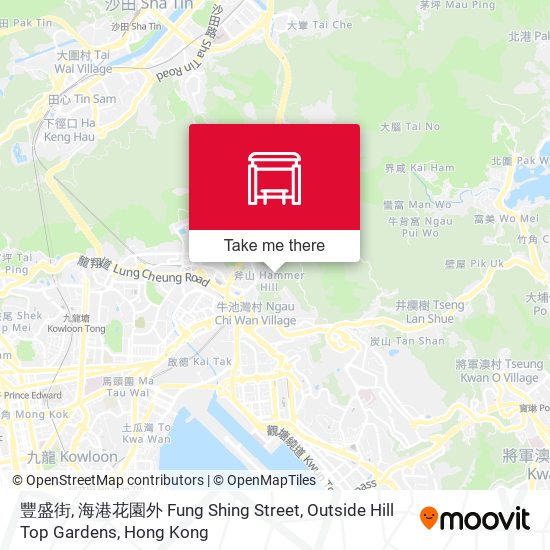 豐盛街, 海港花園外 Fung Shing Street, Outside Hill Top Gardens map