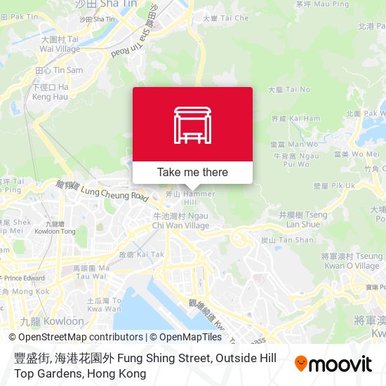 豐盛街, 海港花園外 Fung Shing Street, Outside Hill Top Gardens地圖